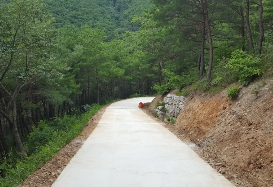 산림 내 임도 정비